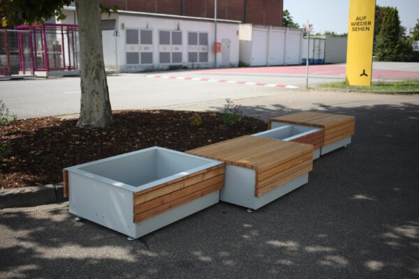 Sonderkombi: Wien Plus in RAL 7044 – Bild 2